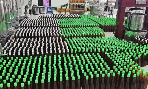 കോമൺ ഇൻക്യുബേഷൻ ഫെസിലിറ്റി: ഉൽപന്നങ്ങൾ കയറ്റുമതിയിലേക്ക്