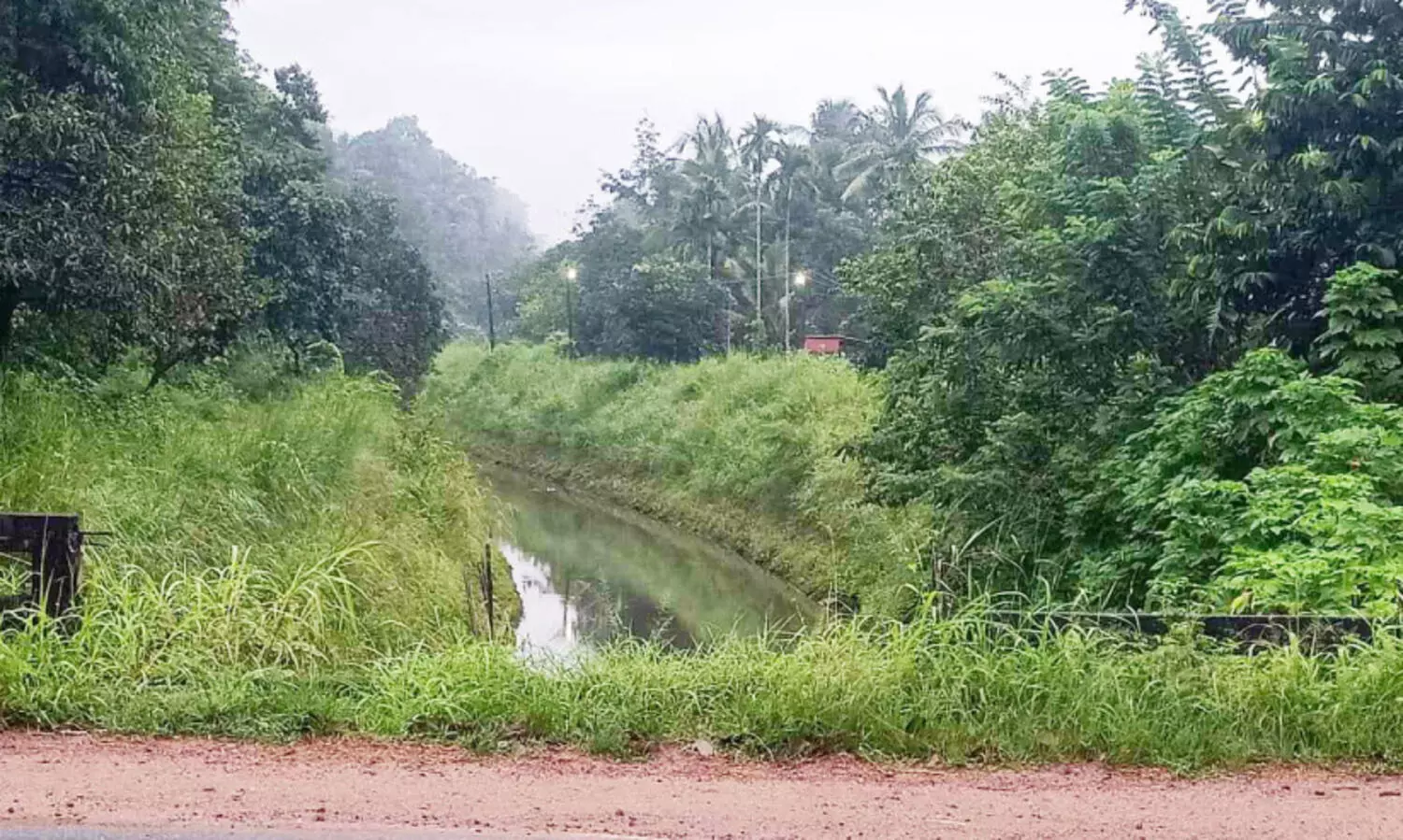 തകർന്ന കൈവരി പുനർനിർമിക്കുന്നില്ല; ദേശീയപാതയിൽ അപകട ഭീഷണി