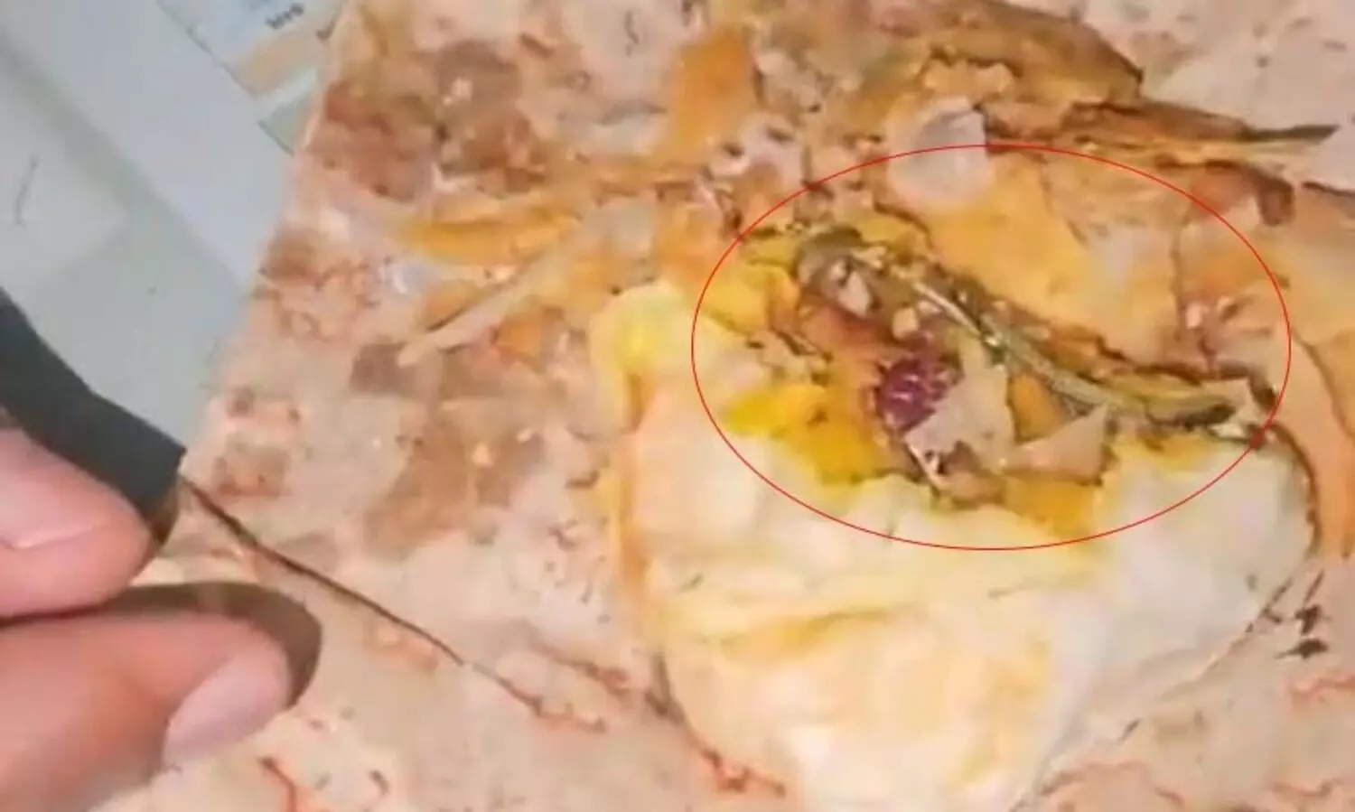 വീട്ടിലേക്ക് വാങ്ങിയ പഫ്സിൽ പാമ്പിൻ കുഞ്ഞ് ...!, ബേക്കറിക്കെതിരെ കേസ് -വിഡിയോ