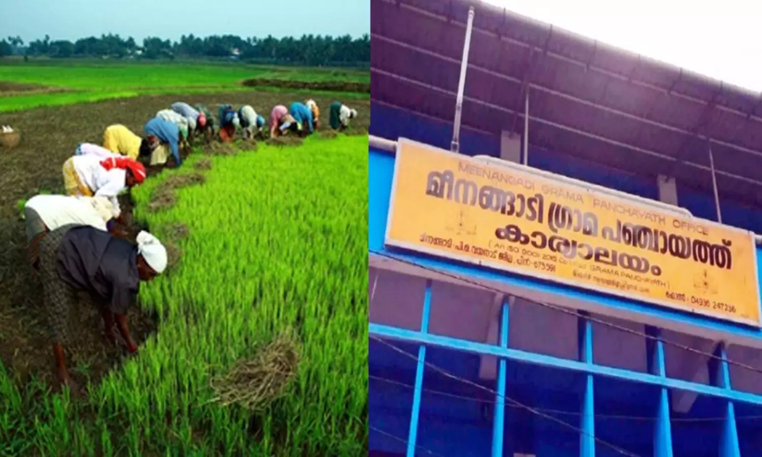 മീനങ്ങാടി പഞ്ചായത്തിനും താനാളൂർ കൃഷിഭവനും സംസ്ഥാന കർഷക അവാർഡ്​