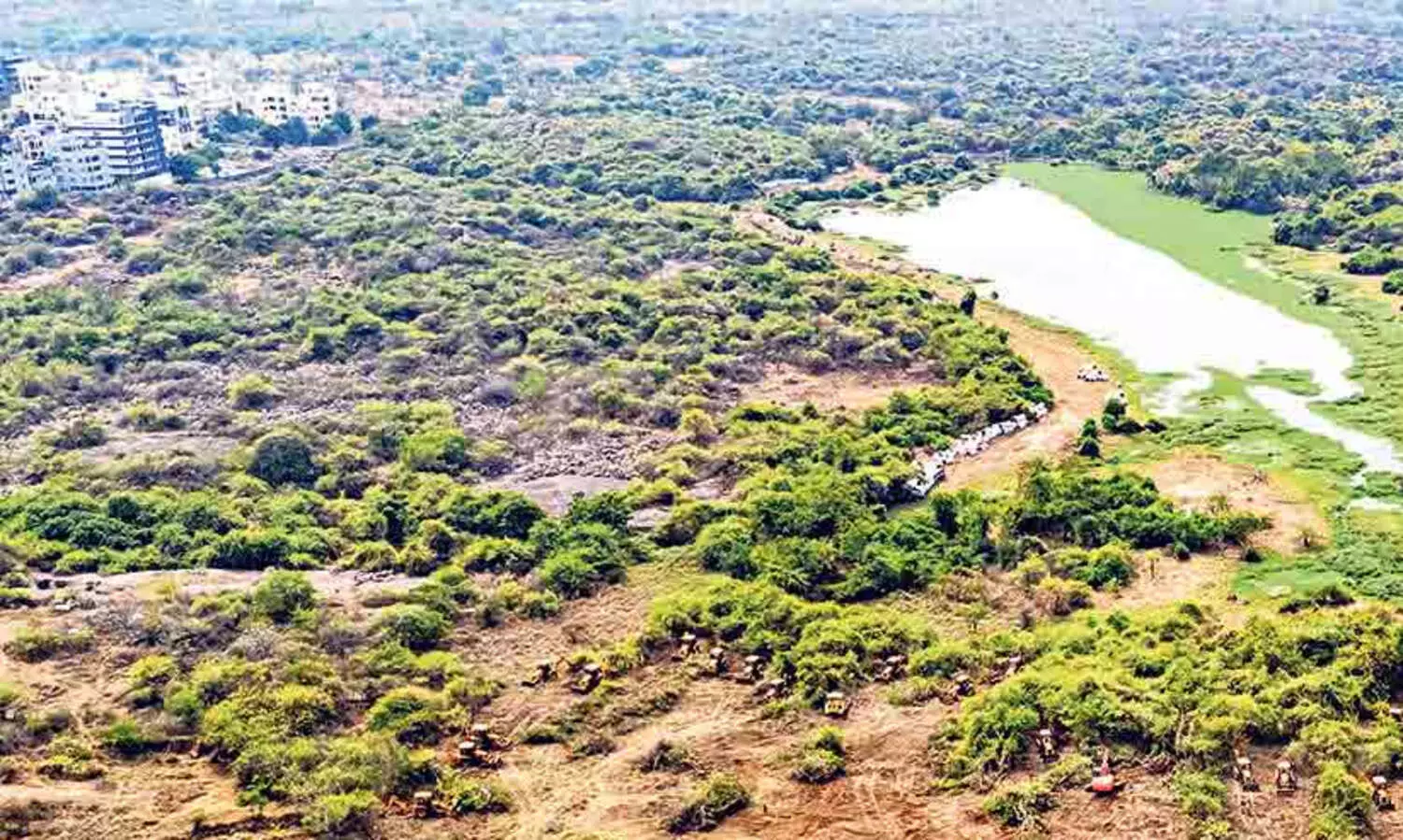 കാഞ്ച ഗച്ചി ബൗളിയിൽ വെട്ടി നിരത്തിയ 400 ഏക്കർ വന ഭൂമിയിൽ മരംവെച്ചു പിടിപ്പിക്കാനുള്ള പ്ലാൻ സമർപ്പിക്കാൻ 6 ആഴ്ച; ഉത്തരവിട്ട് സുപ്രീംകോടതി