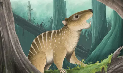 ദിനോസറുകൾക്കൊപ്പം 7.4 കോടി വർഷം മുമ്പ് ജീവിച്ചിരുന്ന ഏറ്റവും ചെറിയ സസ്തനിയുടെ ഫോസിൽ തെക്കേ അമേരിക്കയിൽ കണ്ടെത്തി; എലിയെക്കാൾ ചെറിയ മുട്ടയിടുന്ന ജീവി