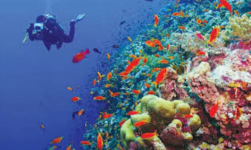 2030 ആ​കു​മ്പോ​ഴേ​ക്കും സ​മു​ദ്ര സ​മ്പ​ദ് വ്യ​വ​സ്ഥ   22 ബി​ല്യ​ൺ റി​യാ​ൽ ക​വി​യു​മെ​ന്ന് ക​ണ​ക്കു​കൂ​ട്ട​ൽ