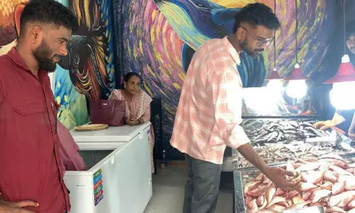 വെറും മീൻകച്ചവടമല്ല, അതിജീവനത്തിന്റെ കട