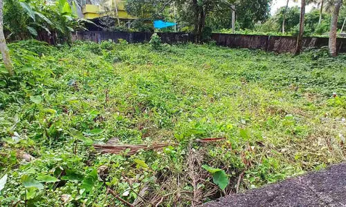 നാല് സ്ത്രീകളുടെ തിരോധാനം; സെബാസ്റ്റ്യന്റെ സഹോദരന്റെ പുരയിടം ക്രൈംബ്രാഞ്ച് നിരീക്ഷണത്തിൽ നാല് സ്ത്രീകളുടെ തിരോധാനം; സെബാസ്റ്റ്യന്റെ സഹോദരന്റെ പുരയിടം ക്രൈംബ്രാഞ്ച് നിരീക്ഷണത്തിൽ