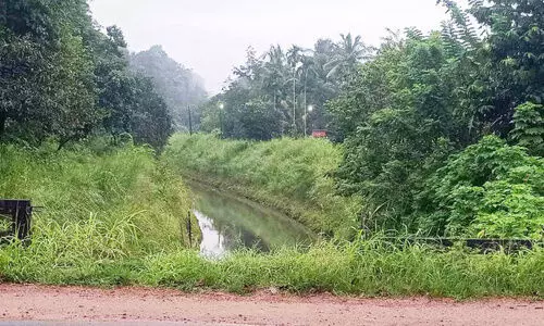 തകർന്ന കൈവരി പുനർനിർമിക്കുന്നില്ല; ദേശീയപാതയിൽ അപകട ഭീഷണി