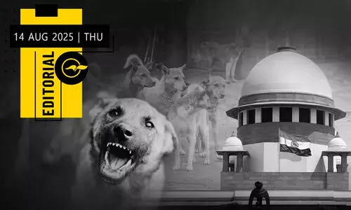 തെ​​രു​​വു​​നാ​​യ് നി​​യ​​ന്ത്ര​​ണ​​വും സു​​പ്രീം​​കോ​​ട​​തി ഇ​​ട​​പെ​​ട​​ലും