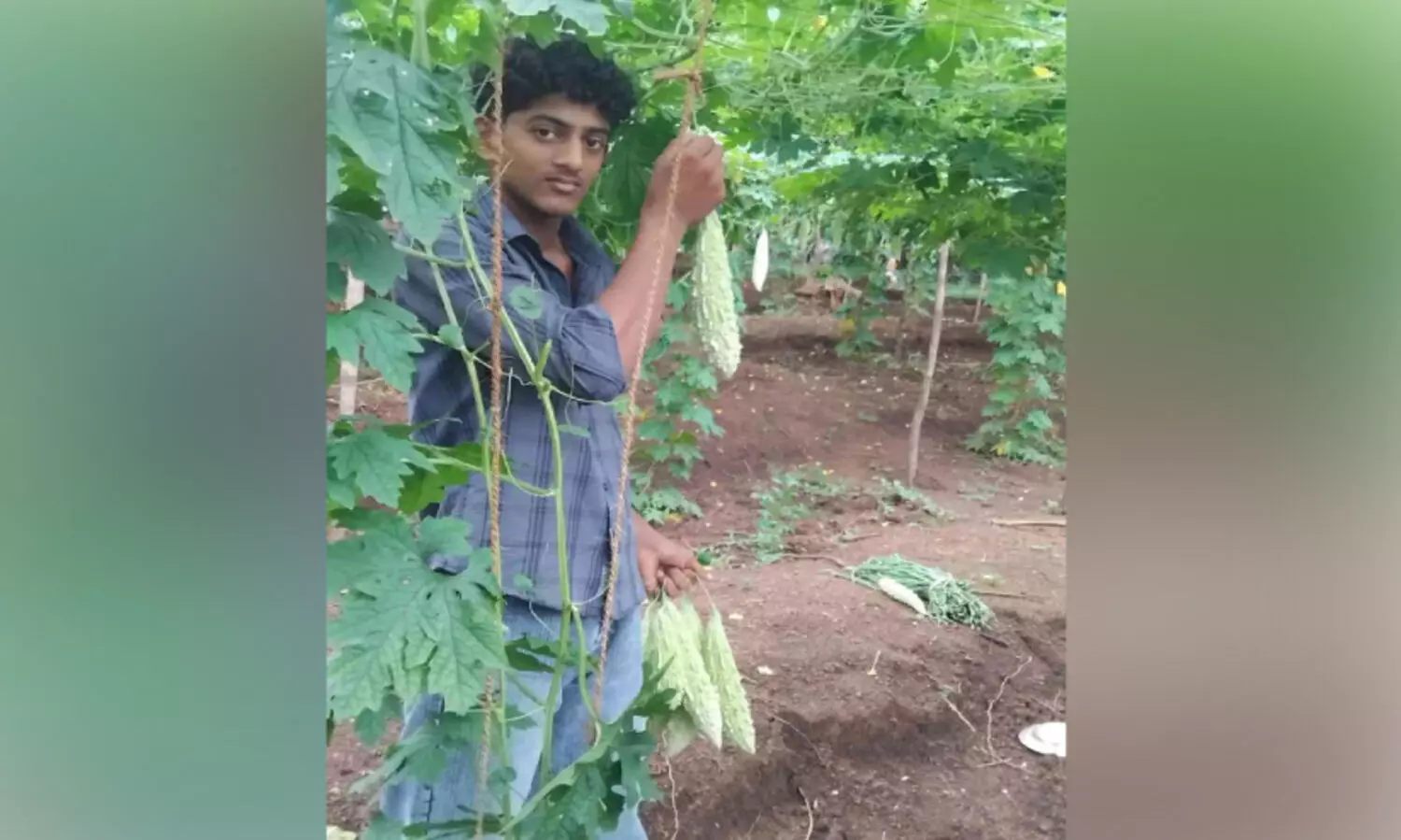 Student farming award
