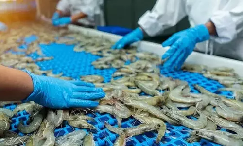 ട്രംപിന്റെ ചുങ്ക വർധന; മത്സ്യ സംസ്കരണ മേഖല പ്രക്ഷോഭത്തിലേക്ക്