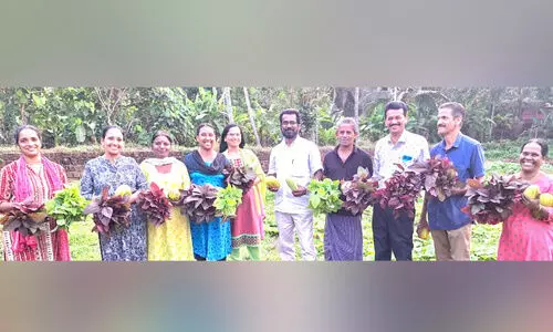 കർഷക പുരസ്കാര നിറവിൽ കണ്ണൂർ കർഷക പുരസ്കാര നിറവിൽ കണ്ണൂർ