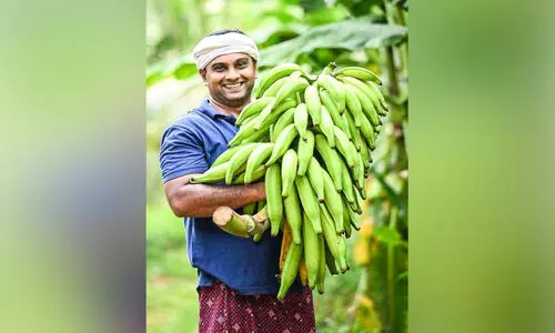 Best Young Farmer Award