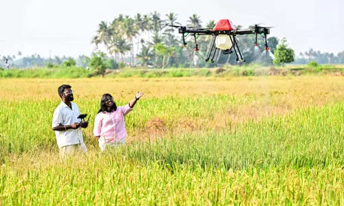 Fuselage Innovations