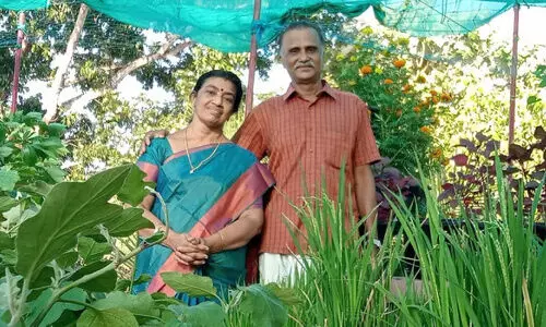 കൃഷിയെ ജീവനായി സ്‌നേഹിച്ചു; സമ്മാനമായി സംസ്ഥാന പുരസ്‌കാരവും