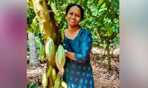 കൊ​ക്കോ ക​ർ​ഷ​ക​ർ​ക്ക്​ പു​ത്ത​നുണ​ർ​വ്​ ന​ൽ​കി അ​വാ​ർ​ഡ്​ തി​ള​ക്ക​ത്തി​ൽ മി​നി മോ​ൾ