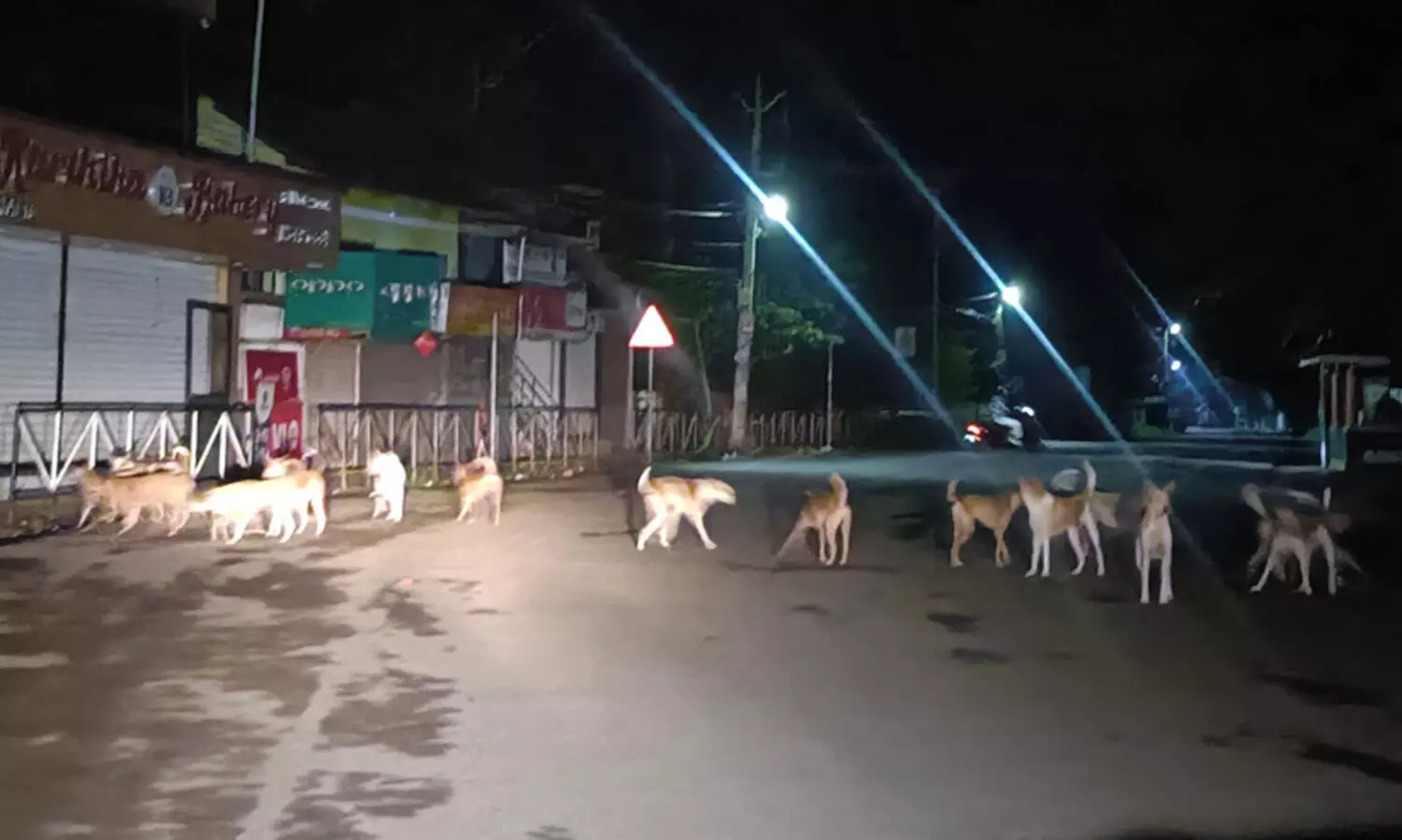 ‘മുഖം പൊളിഞ്ഞത് പട്ടികളുടെ കടിയേറ്റാണോ വീഴ്ചയിലാണോ എന്ന് തിരിച്ചറിയാൻ പറ്റാത്ത അവസ്ഥ!’