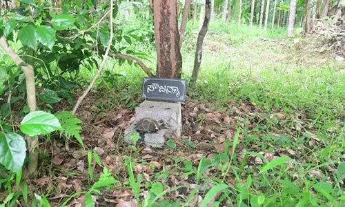 ബി.​ജെ.​പി സാ​മാ​ജി​ക​ർ ഞാ​യ​റാ​ഴ്ച ധ​ർ​മ​സ്ഥ​ല​യി​ൽ