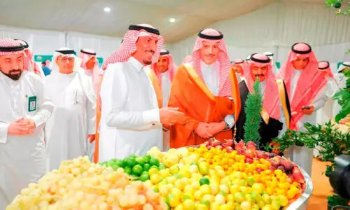 Taima Agricultural Festival