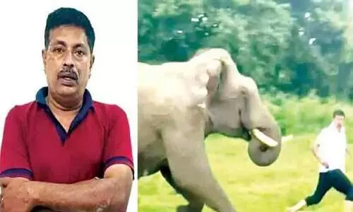 കാട്ടാനക്ക് മുന്നിൽ സെൽഫിക്ക് ശ്രമിച്ചയാൾക്ക് കാൽ ലക്ഷം രൂപ പിഴ