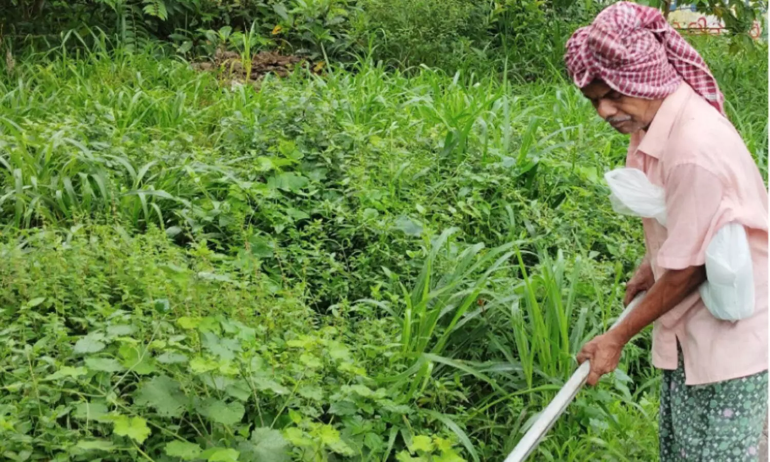 ഇന്ന് കർഷക ദിനം; കൃ​ഷി​യി​ൽ ഭാ​സ്ക​രേ​ട്ട​ന് എ​ന്നും ചെ​റു​പ്പം