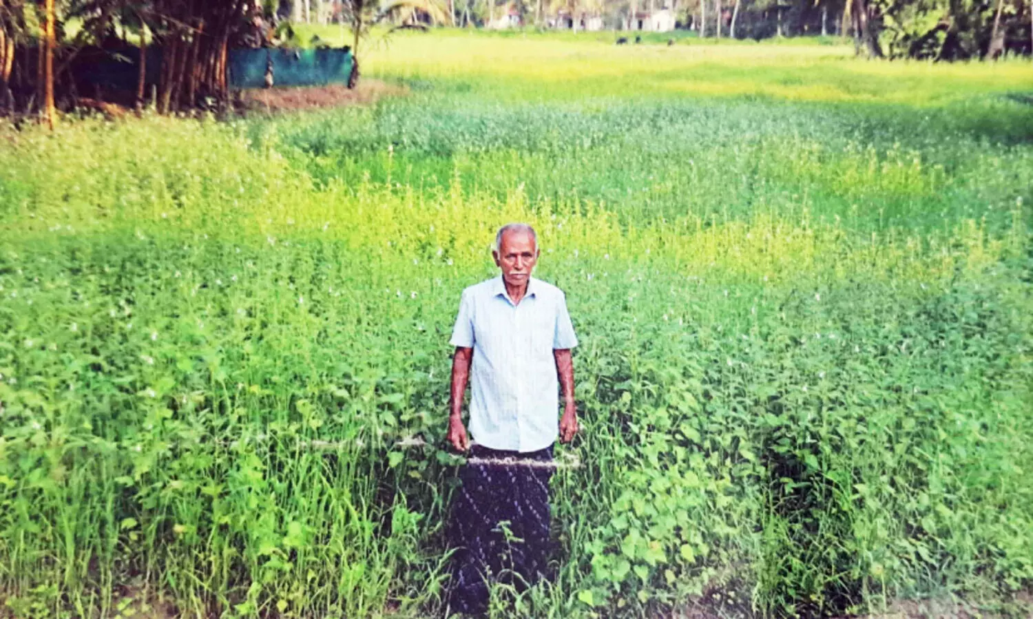 എള്ളാണ്​, അബൂബക്കറിന്‍റെ ഉള്ളുനിറയെ