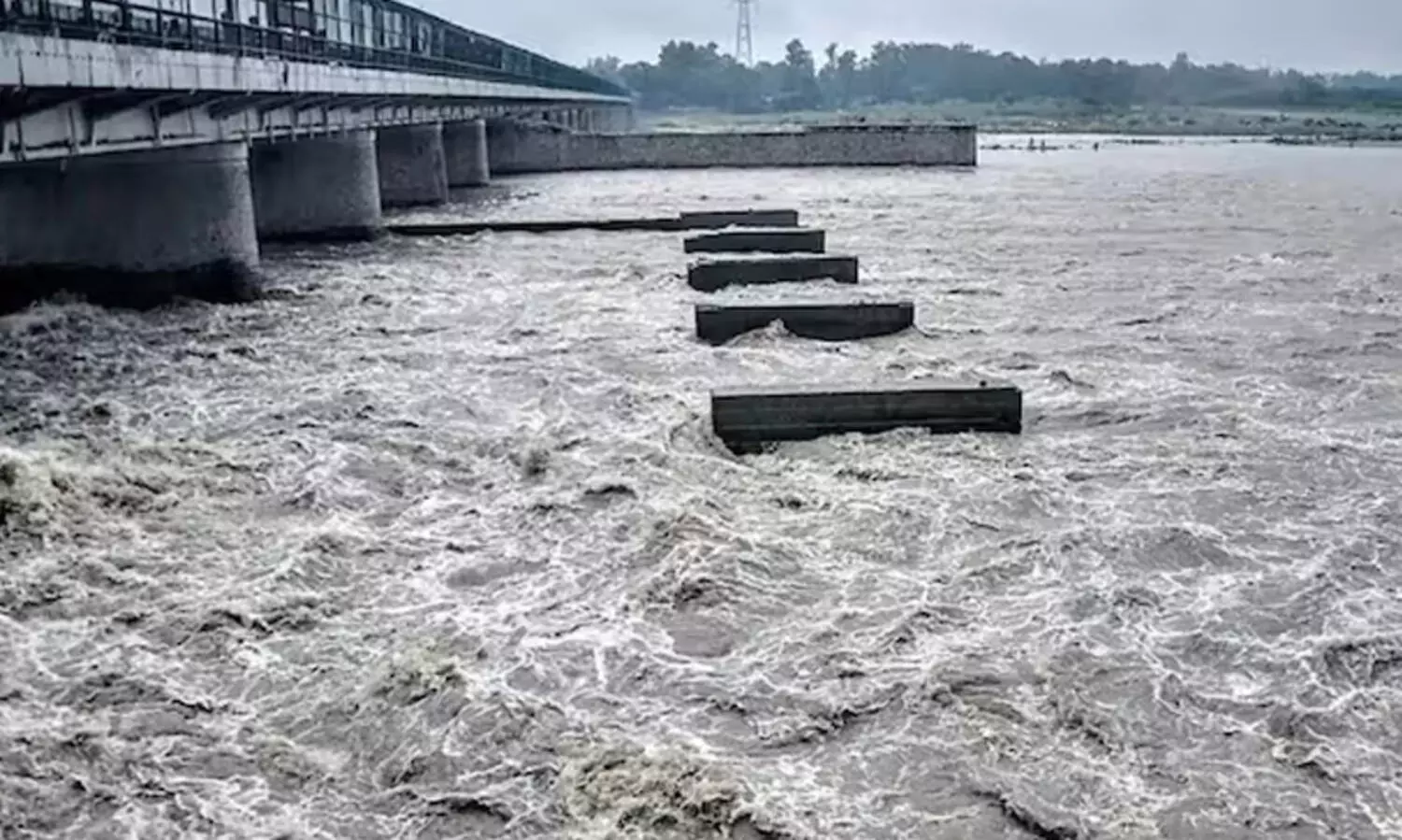 യമുന നദിയിൽ പ്രളയ മുന്നറിയിപ്പുമായി സർക്കാർ; രണ്ട് ദിവസത്തിനുള്ളിൽ ജലനിരപ്പ് അപകടനിലക്ക് മുകളിലെത്തിയേക്കും