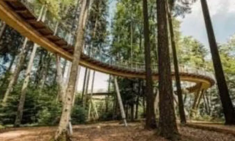 തു​ളു​നാ​ട് ബൊ​ട്ടാ​ണി​ക്ക​ല്‍ ഗാ​ര്‍ഡ​ന്‍ ഒ​രു​ങ്ങു​ന്നു