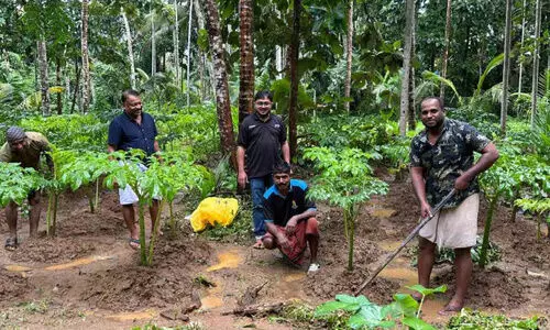 ജൈ​വ​കൃ​ഷി​യി​ൽ പു​ത്ത​ൻ മാ​തൃ​ക​യൊ​രു​ക്കി യു​വ​ക​ർ​ഷ​ക​ൻ