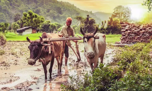 ഇന്ന് കർഷക ദിനം; ആശങ്കകളും പ്രതീക്ഷകളുമായി കർഷകർ ഇന്ന് കർഷക ദിനം; ആശങ്കകളും പ്രതീക്ഷകളുമായി കർഷകർ