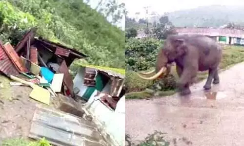 മൂന്നാറിൽ കാട്ടാനക്കൂട്ടം സ്കൂൾ തകർത്തു; ഉച്ചഭക്ഷണത്തിന് സൂക്ഷിച്ച അരിയും ഭക്ഷിച്ചു