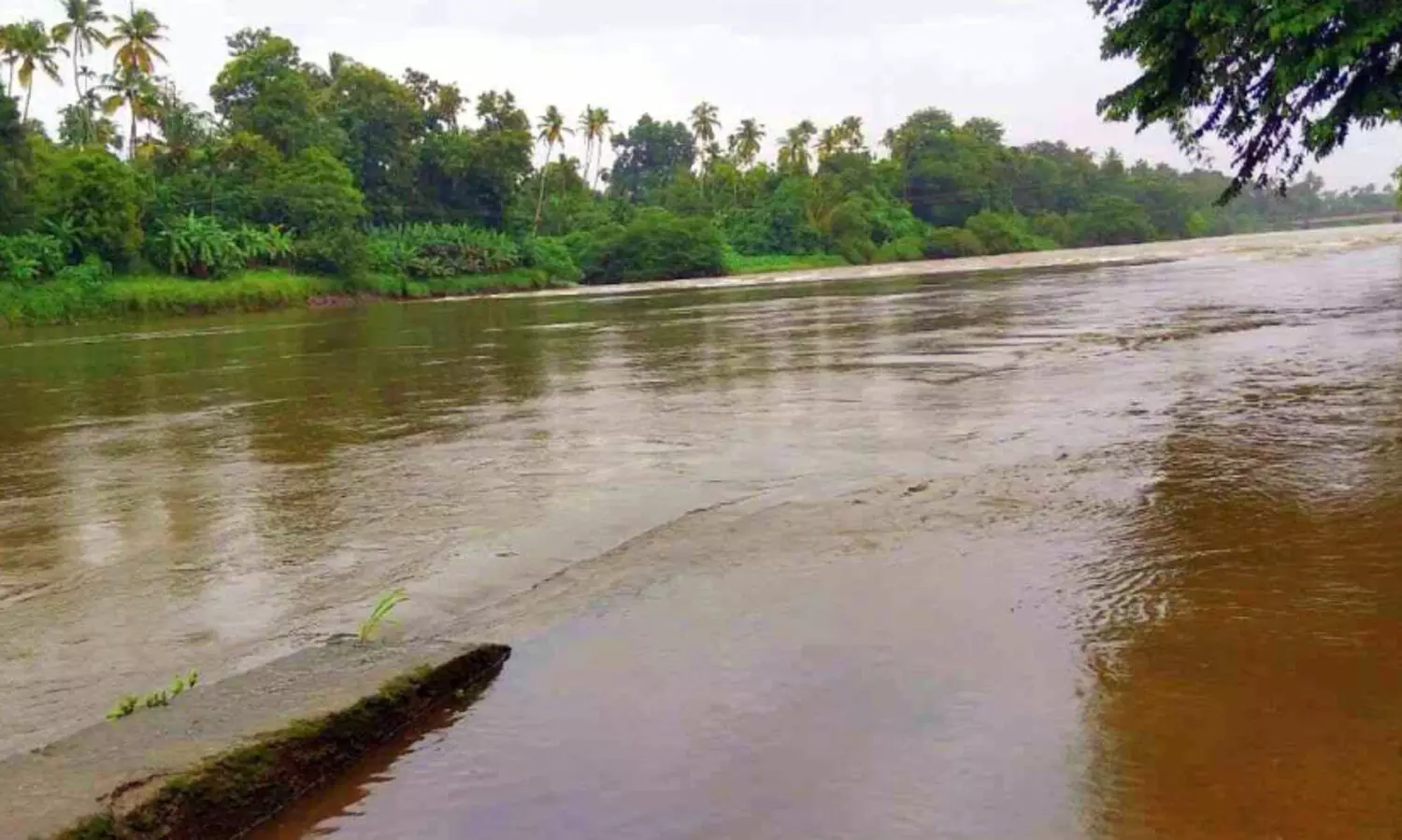 കേരള ഷോളയാർ ഡാമിൽ 100 ശതമാനം ജലം; ചാ​ല​ക്കു​ടി​പ്പു​ഴ​യി​ൽ ജ​ല​നി​ര​പ്പ് ഉ​യ​രു​ന്നു