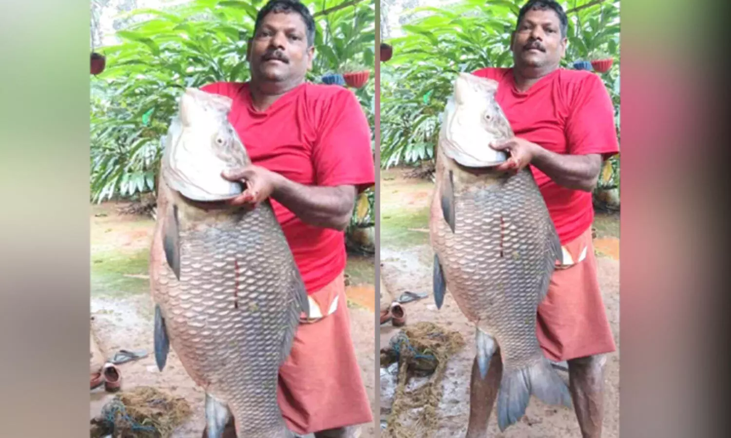 മൽസ്യസമൃദ്ധമായി ഇടുക്കി ജലാശയം