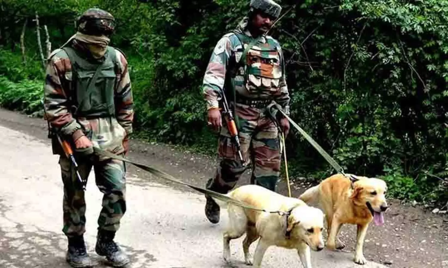 ഇന്ത്യൻ സൈന്യത്തിന്റെ കൈവശം എത്ര മൃഗങ്ങളുണ്ട്..?; കണക്കുകൾ രേഖാമൂലം നൽകി പ്രതിരോധ സഹമന്ത്രി