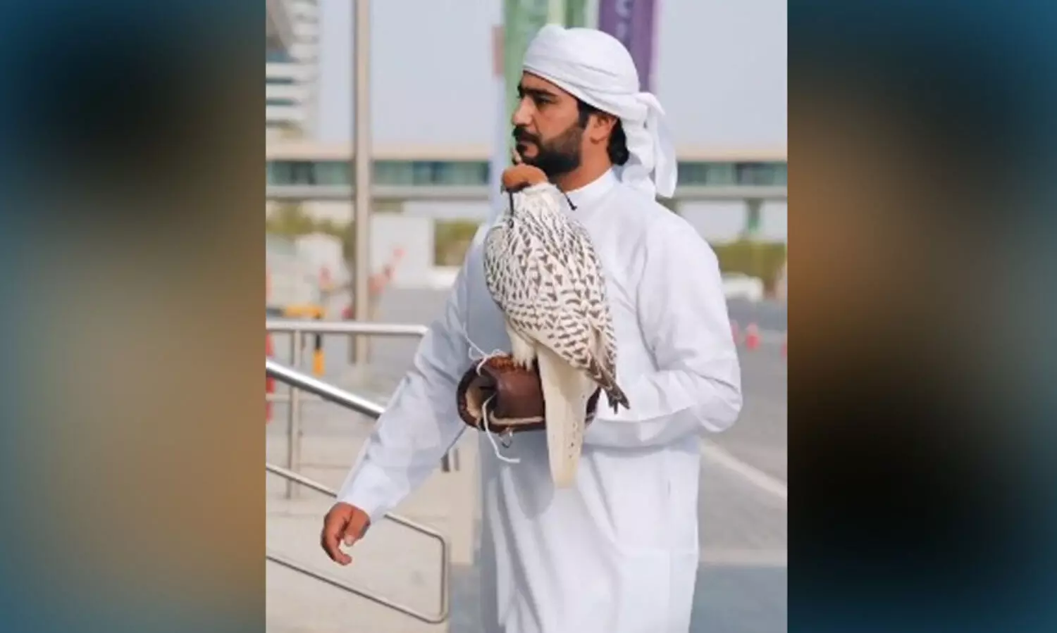 അഡിഹെക്‌സിൽ അപൂര്‍വ ഫാല്‍കൺ വിറ്റുപോയത്​ മൂന്നര ലക്ഷം ദിര്‍ഹമിന്​