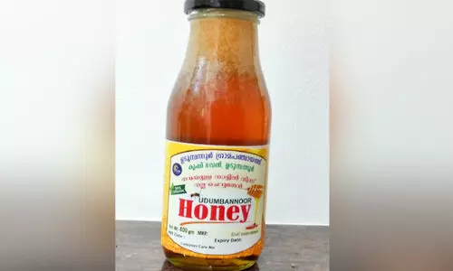 Udumbannur Honey