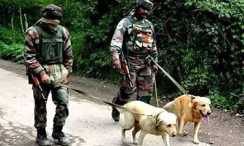 ഇന്ത്യൻ സൈന്യത്തിന്റെ കൈവശം എത്ര മൃഗങ്ങളുണ്ട്..?; കണക്കുകൾ രേഖാമൂലം നൽകി പ്രതിരോധ സഹമന്ത്രി