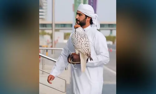 അഡിഹെക്‌സിൽ അപൂര്‍വ ഫാല്‍കൺ വിറ്റുപോയത്​ മൂന്നര ലക്ഷം ദിര്‍ഹമിന്​