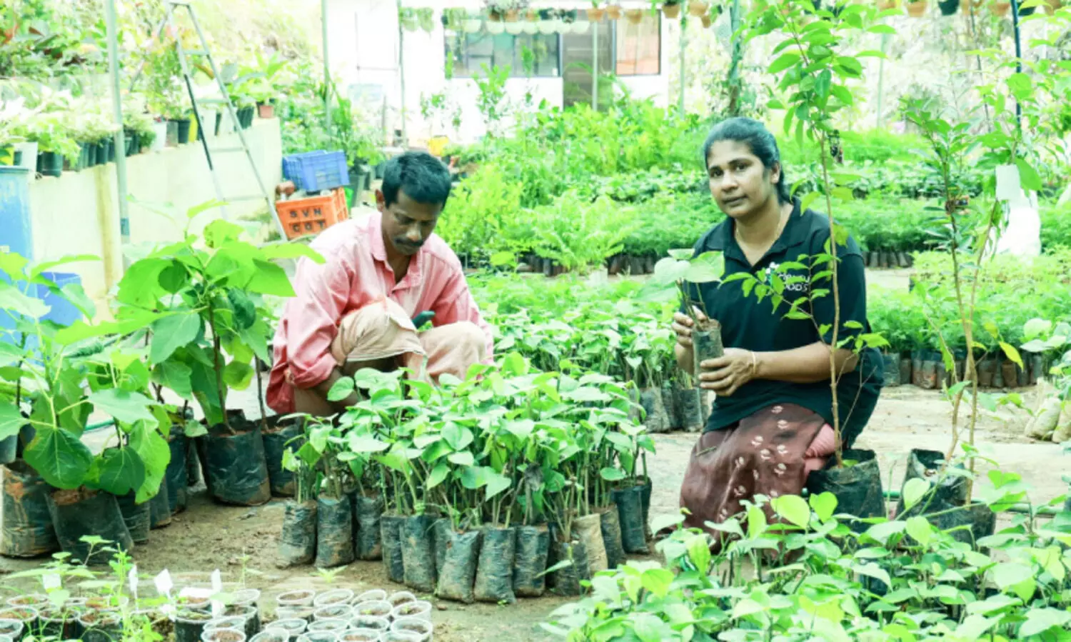 ‘സ്വപ്നച്ചിറകിലേറി മഞ്ജുവിന്റെ സ്വപ്നയാത്ര’