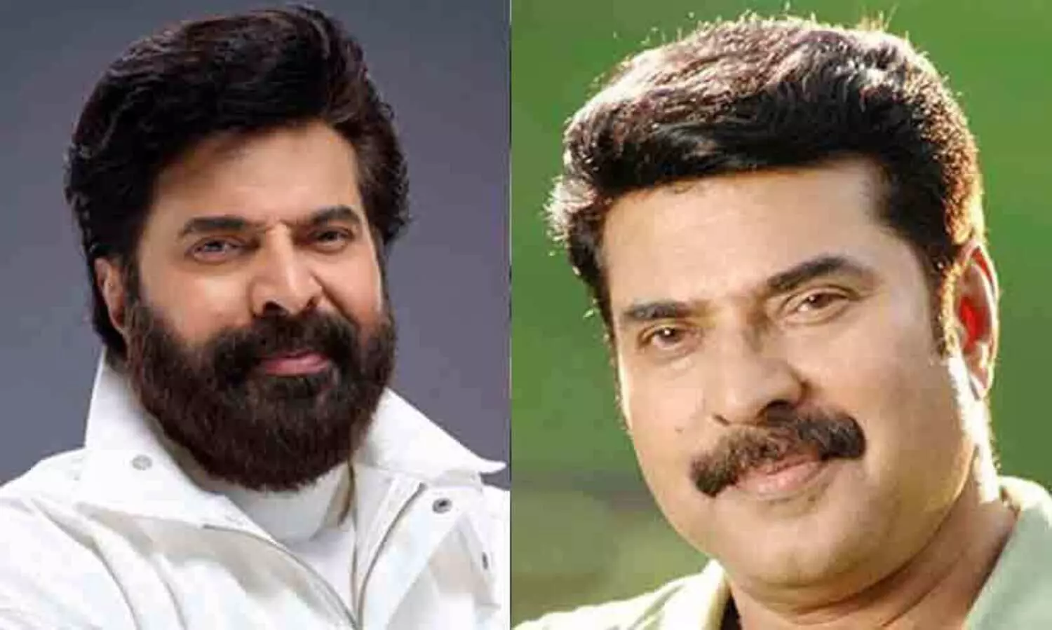 Mammootty
