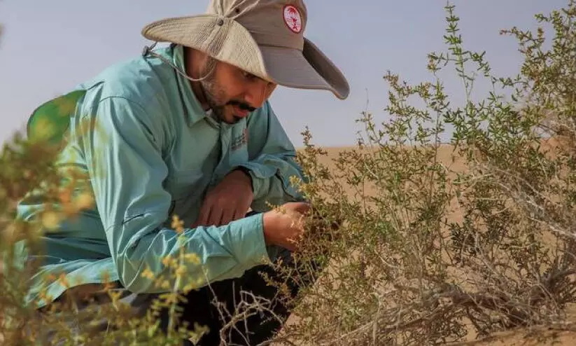 ഭൗ​മ ആ​വാ​സ​വ്യ​വ​സ്ഥ​യു​ടെ സം​ര​ക്ഷ​ണ​ത്തി​നും പ​ഠ​ന​ത്തി​നും പു​തി​യ പ​ദ്ധ​തി ഒ​രു​ങ്ങു​ന്നു