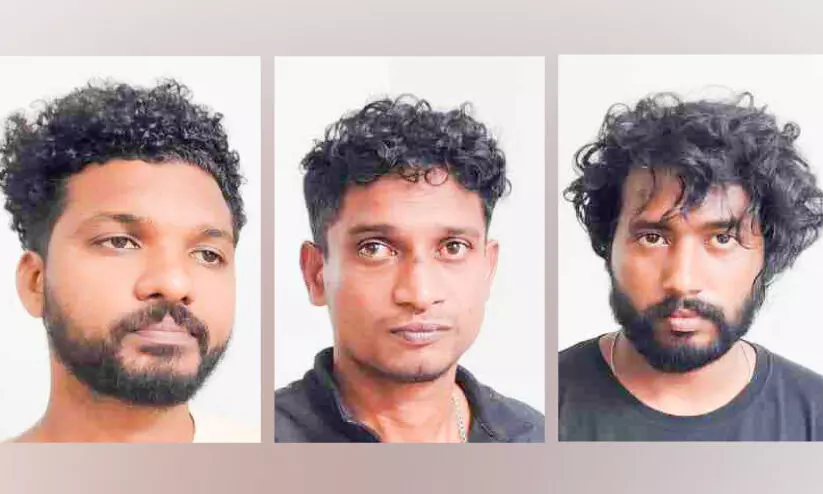 കഞ്ചാവുമായി ഒഡിഷ സ്വദേശിയടക്കം മൂന്നുപേര്‍ പിടിയില്‍