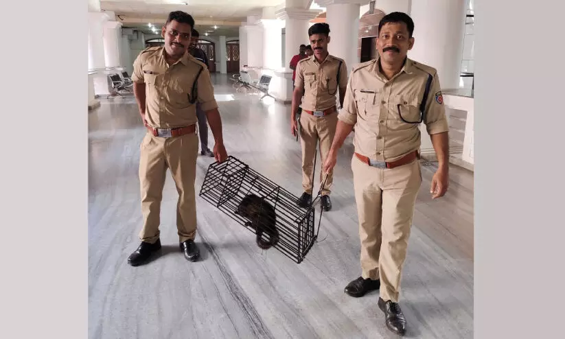 മ​ര​പ്പ​ട്ടി വി​സ​ർ​ജ്യം: ഹൈ​കോ​ട​തി ചീ​ഫ്​ ​ജ​സ്റ്റി​സി​ന്‍റെ സി​റ്റിംങ്​ നി​ർ​ത്തി​​വെ​ച്ചു