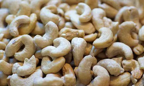 ഓണക്കിറ്റിലേക്ക്​ കാപെക്സി​ന്‍റെ 7.8 ടൺ കശുവണ്ടിപ്പരിപ്പ്​