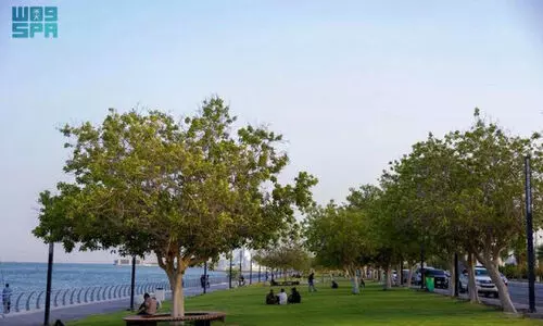 ആ​ദ്യ സ്മാ​ർ​ട്ട് ഗ്രീ​ൻ സി​റ്റി​യാ​കാ​ൻ അ​ൽ​ഖോ​ബാ​ർ ഒ​രു​ങ്ങു​ന്നു