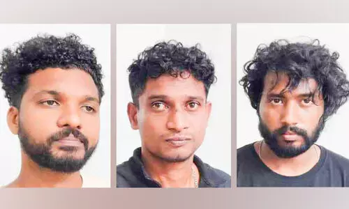 കഞ്ചാവുമായി ഒഡിഷ സ്വദേശിയടക്കം മൂന്നുപേര്‍ പിടിയില്‍