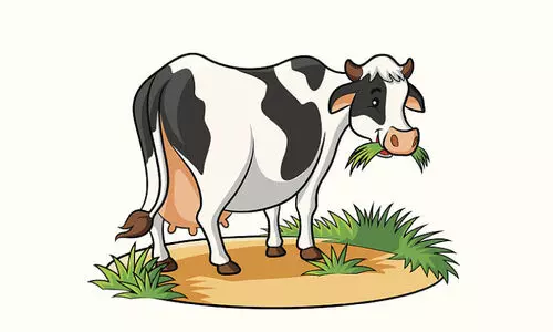 സബ്​സിഡി വാഗ്​ദാനത്തിലൊതുങ്ങി; ​യുവ ക്ഷീര കർഷകർ പ്രതിസന്ധിയിൽ