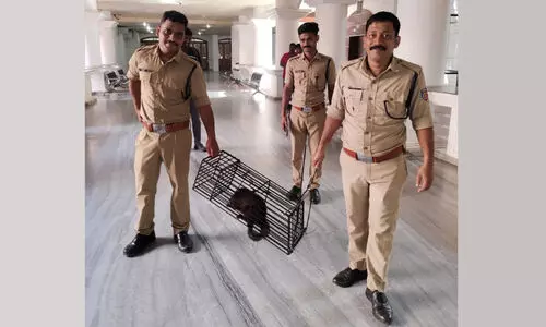 മ​ര​പ്പ​ട്ടി വി​സ​ർ​ജ്യം: ഹൈ​കോ​ട​തി ചീ​ഫ്​ ​ജ​സ്റ്റി​സി​ന്‍റെ സി​റ്റിംങ്​ നി​ർ​ത്തി​​വെ​ച്ചു