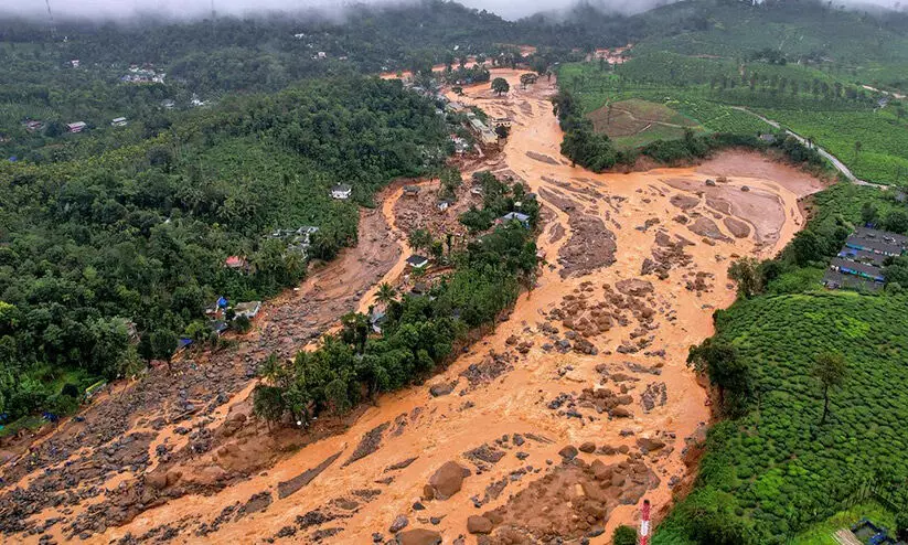 വയനാട് ദുരന്തം; സന്നദ്ധ സംഘടനകൾ പണപ്പിരിവ് നടത്തിയതിന്റെ രേഖകളില്ലെന്ന് റിപ്പോർട്ട്