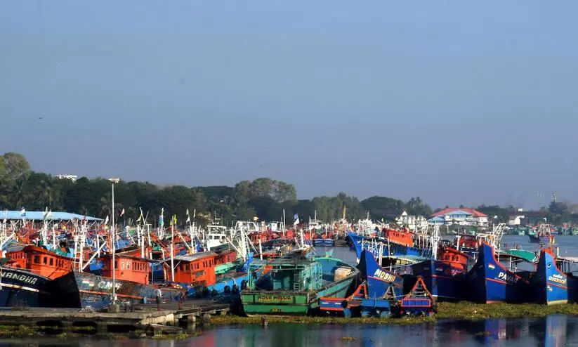 kochi fisheries harbur