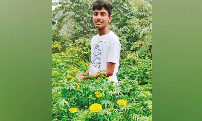 പു​ര​സ്‌​കാ​ര നി​റ​വി​ൽ അ​തു​ൽ കൃ​ഷ്ണ​യും ചെ​ണ്ടു​മ​ല്ലി തോ​ട്ട​വും