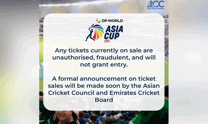 cricket tournament cricket tournament